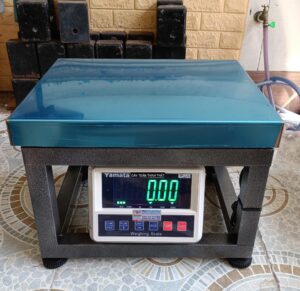 Cân Ghế Ngồi Nhật Bản E600G
