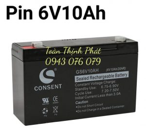 Pin Cân Treo GS6V10AH (6V10AH/20HR)
