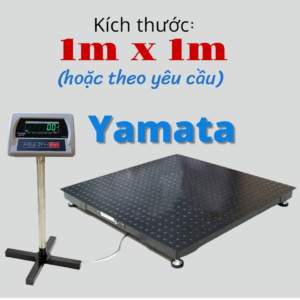 Cân Bàn Điện Tử 2 tấn 1mx1m E218W