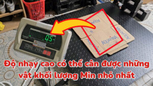 Đầu hiển thị số cân sàn điện tử