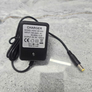 SẠC CÂN TREO 8V 1000mA H202-0801000