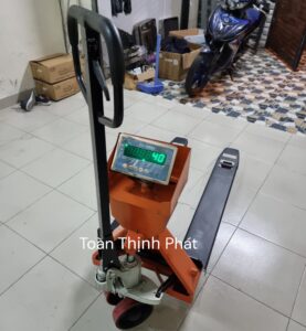 Cân Xe Nâng Pallet DS 166SS