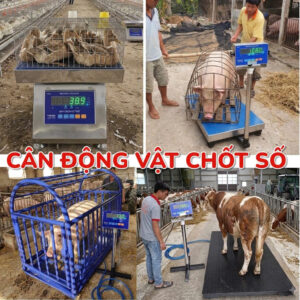 Cân Động Vật Chống Rung, Chốt Số E600A