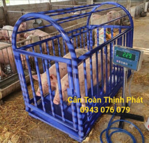 Cân Heo Điện Tử DIGI DS 166SS 500KG 1 Tấn